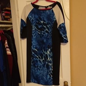 Animal Print Dress